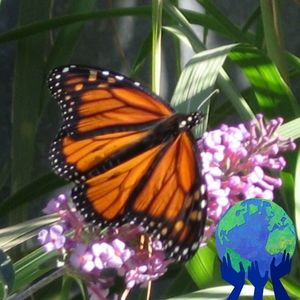 Meet your Posher, Margolyn